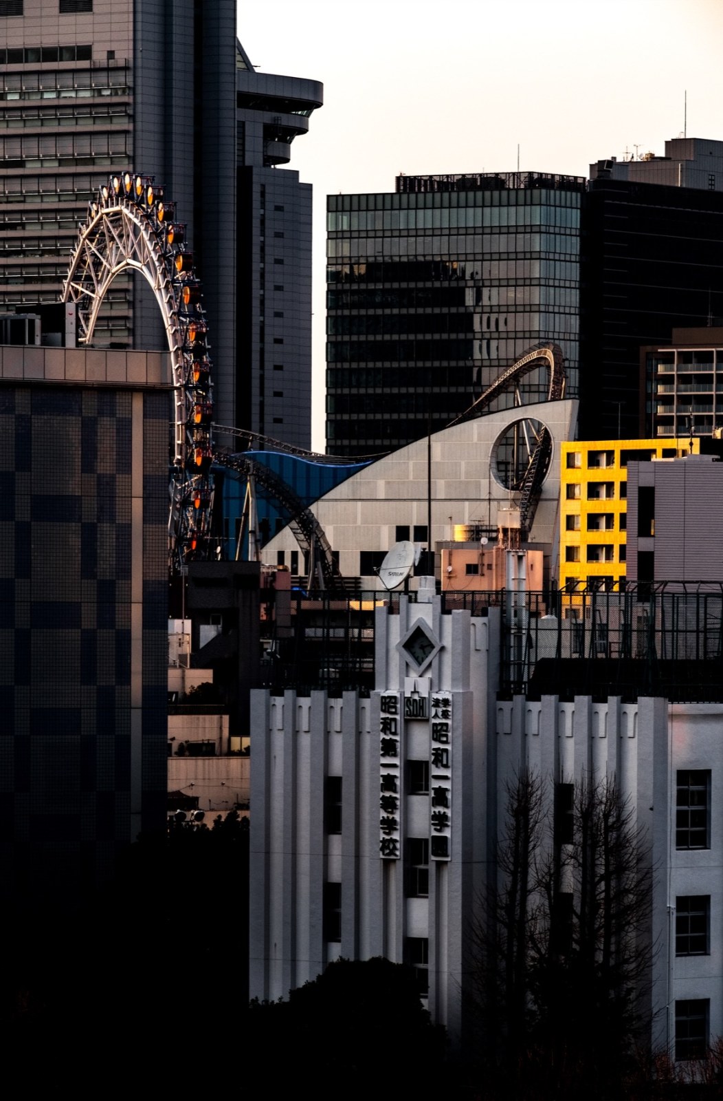 箱庭 ©2022